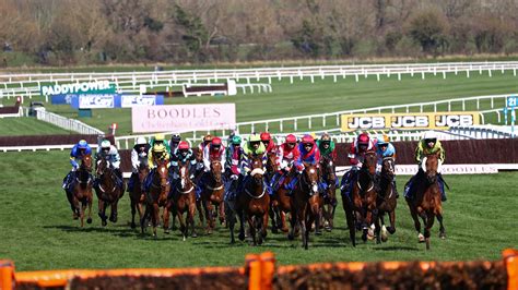 County Hurdle .